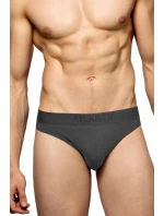 Pánské slipy 2 pack 016 graphite - Atlantic Pánské slipy 2 pack 016 graphite - Atlantic