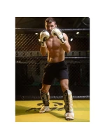 Chrániče holenní kosti M - Undefeated