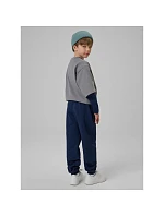 Chlapecké tepláky joggers 4F 4FJRSS26TTROM1733-31S