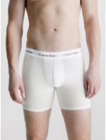 Pánské spodní prádlo 3P BOXER BRIEF 000NB1770AMP1 - Calvin Klein