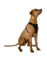 POSTROJ PRO PSY S REFLEXNÍ PÁSKOU 41 - 67 CM VELKÝ