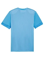 Puma teamGoal Matchday Jersey M 705747 18 pánské Puma teamGoal Matchday Jersey M 705747 18 pánské