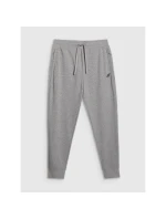 Pánské tepláky typu jogger 4F 4FRMM00TTROM1624-27M