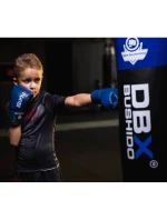 Dětské boxerské rukavice 6oz - 4Fighter Blue Dětské boxerské rukavice 6oz - 4Fighter Blue