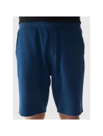 Pánské teplákové šortky 4F