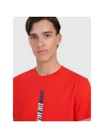 Pánské tričko s potiskem 4F 4FRAW25TTSHM3225-62S