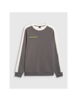 Pánská mikina s kapucí 4F 4FRAW25TSWSM2457-23S bez svetru