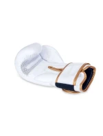 Boxerské rukavice 10oz - Spirit - Valor Series