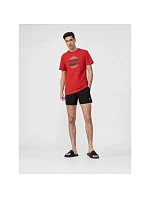 Pánské boardshortky 4F 4FWSS26UBDSM254-20S