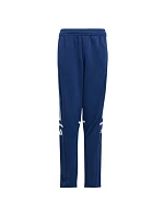 Kalhoty adidas Squadra 25 Training Jr JD4799