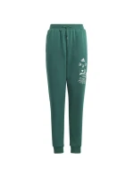 Adidas BLUV Q3 Pant Jr IA1553 Adidas BLUV Q3 Pant Jr IA1553