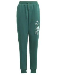 Adidas BLUV Q3 Pant Jr IA1553