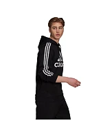 Adidas Essentials Hoodie M H14641 pánské Adidas Essentials Hoodie M H14641 pánské