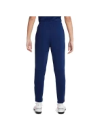 Kalhoty Nike Therma Fit Academy Winter Warrior Jr DC9158-492 Kalhoty Nike Therma Fit Academy Winter Warrior Jr DC9158-492