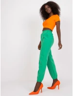 DHJ SP 15832 kalhoty.64 zelených