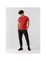 Tričko 4F M 4FSS23TTSHM539-62S pánské Tričko 4F M 4FSS23TTSHM539-62S pánské