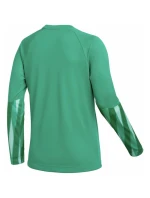 Nike Dri-Fit Park V Stadium dámské tričko zelené HV8316 324