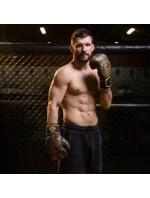 Boxerské rukavice 8oz - Gold Dragon - Valor Series