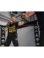 B-2v23 boxerské rukavice 10 oz