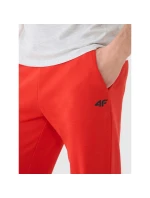 Pánské tepláky typu jogger 4F 4FWMM00TTROM1139-62S