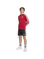 Adidas Liverpool FC Hoody Kids HD mikina JW7904