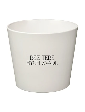 BEZ TEBE BYCH ZVADL - malý květináč BEZ TEBE BYCH ZVADL - malý květináč