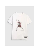 Pánské volejbalové tričko s potiskem 4F 4FRAW25TTSHM3237-10S pánské