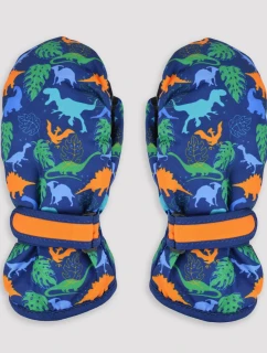 LYŽAŘSKÉ RUKAVICE RN045