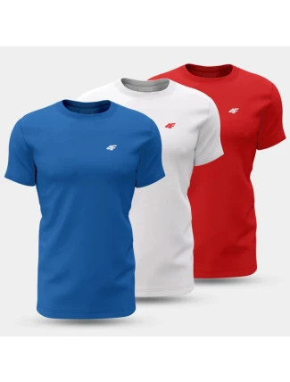 Pánské tričko (SET 3 triček) 4F 4FWSS25TTSHM3097-90S pánské