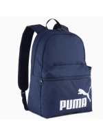 Pleack Puma Phase 091164-02