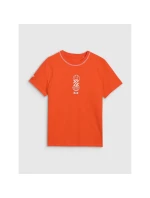 Pánské tričko s potiskem 4F 4FRSS25TTSHM3092-70S pánské Pánské tričko s potiskem 4F 4FRSS25TTSHM3092-70S pánské