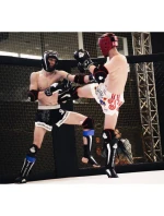 Boxerské rukavice 10oz - Classic White - Origin Series Boxerské rukavice 10oz - Classic White - Origin Series