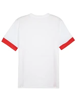 Puma teamGoal Matchday Jersey M 705747 11 pánské Puma teamGoal Matchday Jersey M 705747 11 pánské