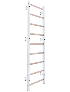 DŘEVĚNÉ KOVOVÉ GYMNASTICKÉ ŽEBŘINY BENCHK 700W