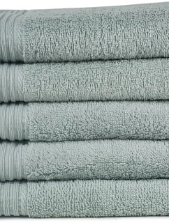 The One Towelling Guest 30x50 Ručník pro hosty 48.1003 silver grey