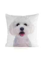 Eurofirany Povlak na polštářek Animal 45x45