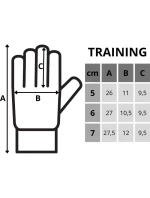 BRANKÁŘSKÉ RUKAVICE ENERO TRAINING R.7