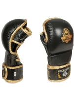 MMAtréninkové rukavice M - Aureos - Valor Series MMAtréninkové rukavice M - Aureos - Valor Series