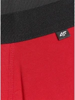 Pánské boxerky 4F (2pack) Pánské boxerky 4F (2pack)