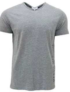 Pánské tričko s krátkým rukávem KM0KM00333-033 - Calvin Klein