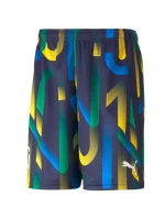 Pánské kraťasy Neymar Jr Future Short M 605552-06 - Puma