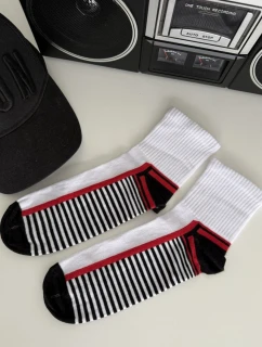 Pánské ponožky ACTIVE 0224.055