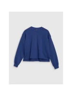 Dámská mikina 4F 4FWSS25TSWSF1543-30S oversize bez kapuce