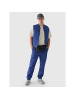 Pánské volnočasové kalhoty 4F 4FRAW24TTROM1349-31S