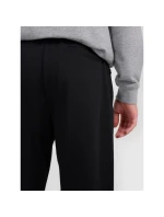 Pánské tepláky typu jogger 4F 4FRMM00TTROM1624-20S