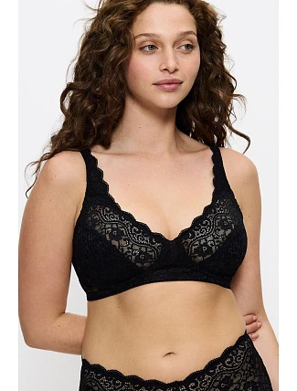 Soft model 229880 Triumph Soft model 229880 Triumph