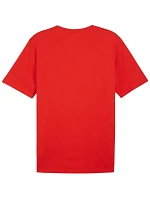 Puma Team Rise Logo Jersey Cotton M 658705 01 pánské