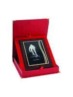 Plastový diplom s vyrytou kovovou destičkou + pouzdro Plastový diplom s vyrytou kovovou destičkou + pouzdro