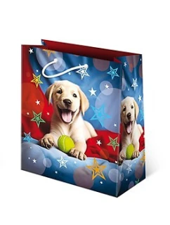 Bag Paw T-8L Set 149 Pies A'10