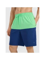 Pánské plážové šortky boardshorts 4F 4FWSS25UBDSM135-42S